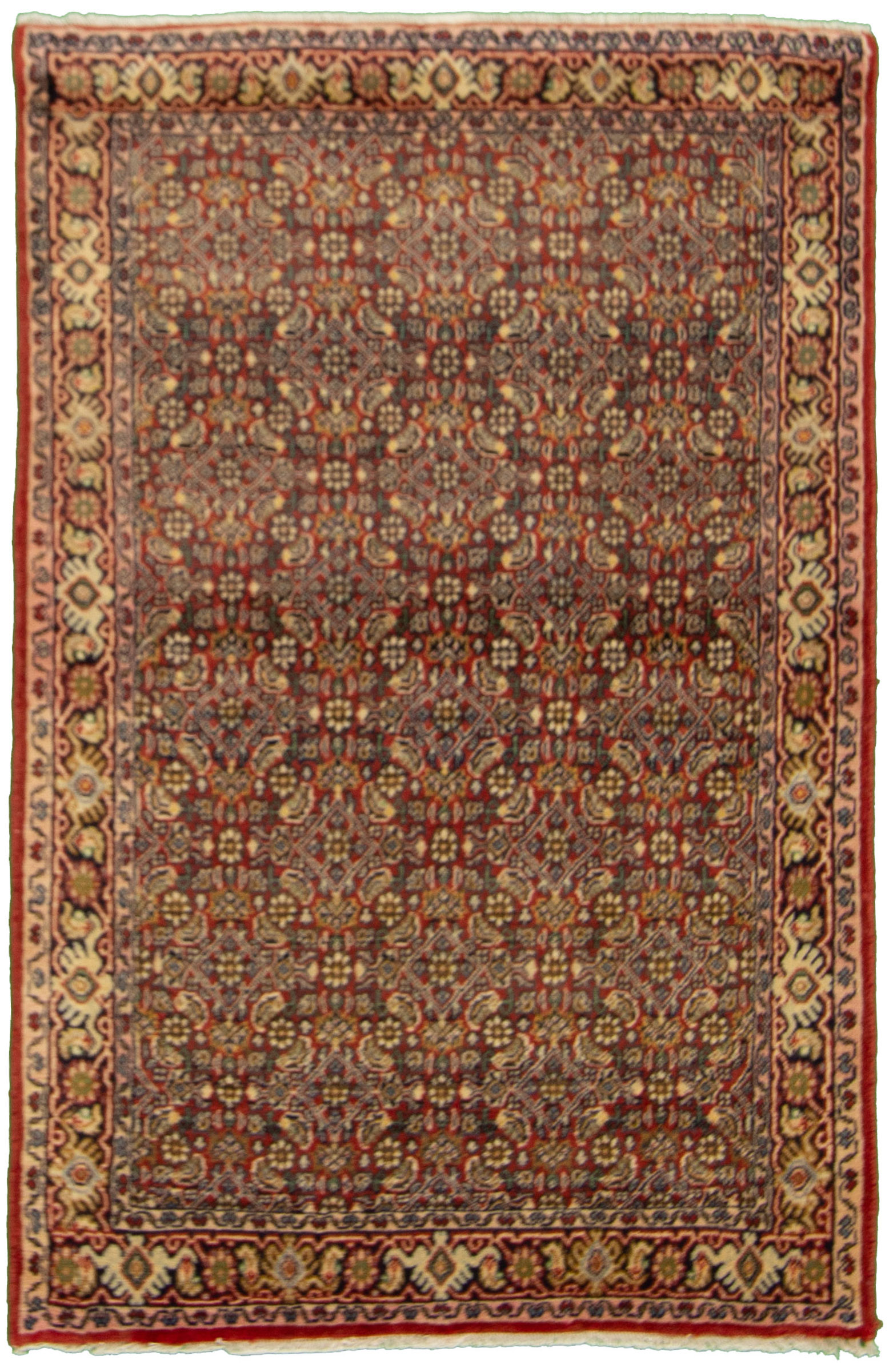 Hand-knotted Bijar Red Wool Rug 3'3" x 5'1" Size: 3'3" x 5'1"  