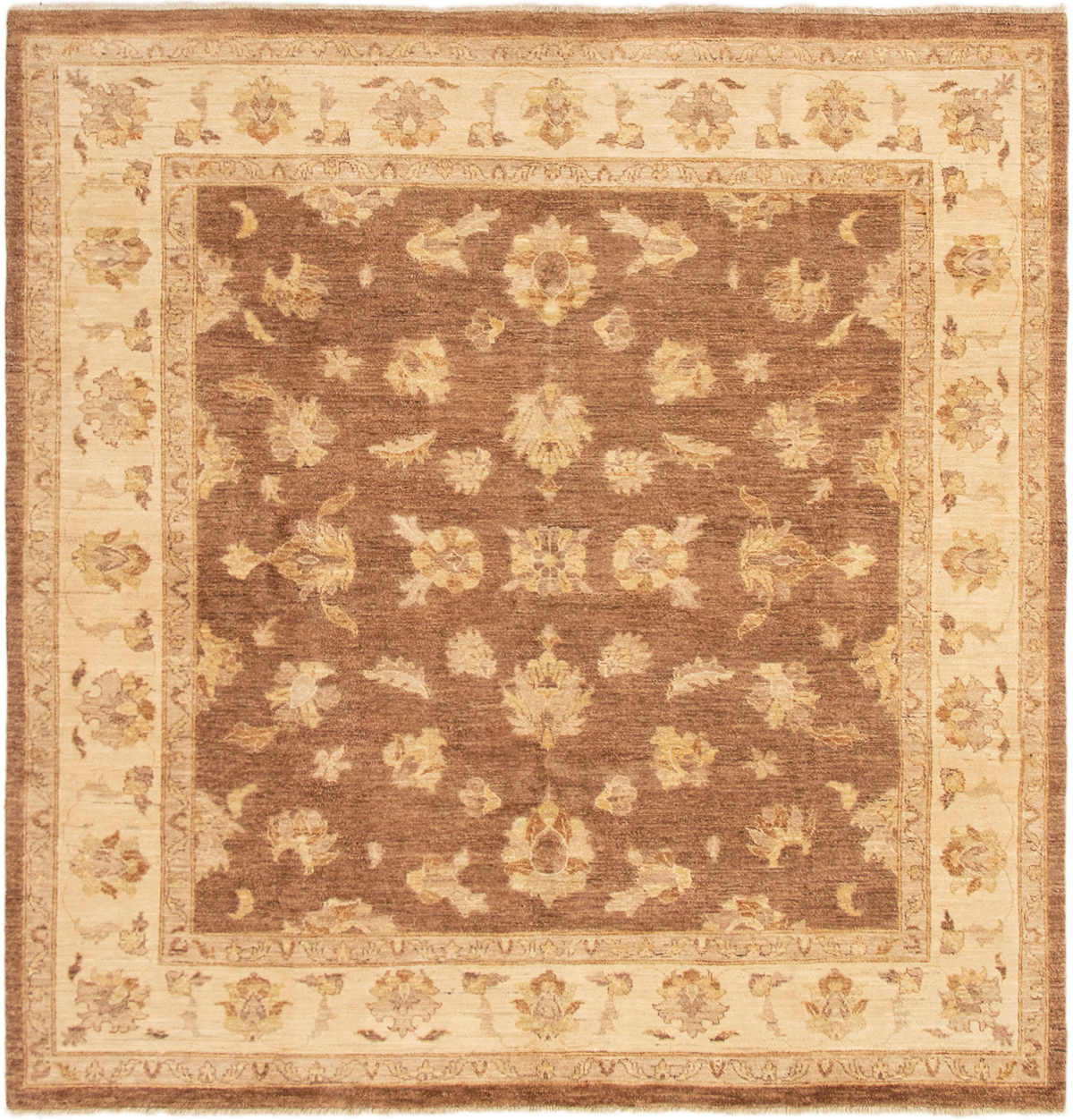 Hand-knotted Chobi Twisted Brown Wool Rug 8'0" x 8'1" Size: 8'0" x 8'1"  