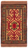 Tajik Caucasian